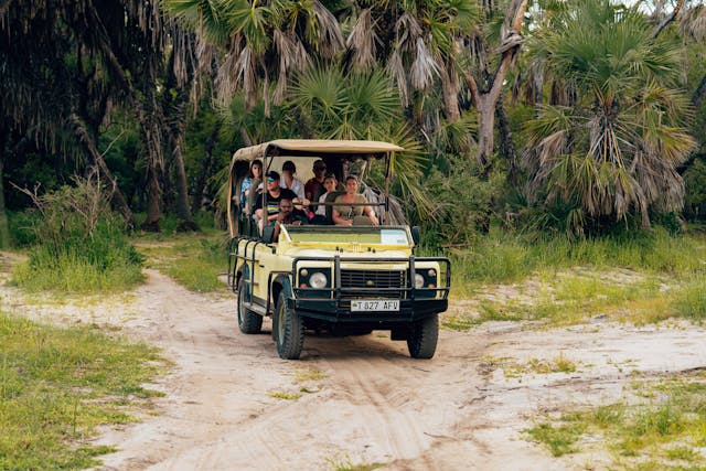 Safari Drive in Uganda